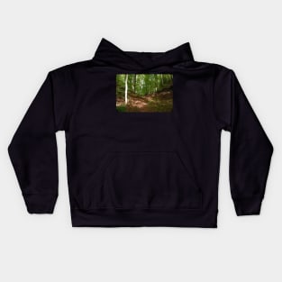 Forest Path With Autumn Leaves Kids Hoodie